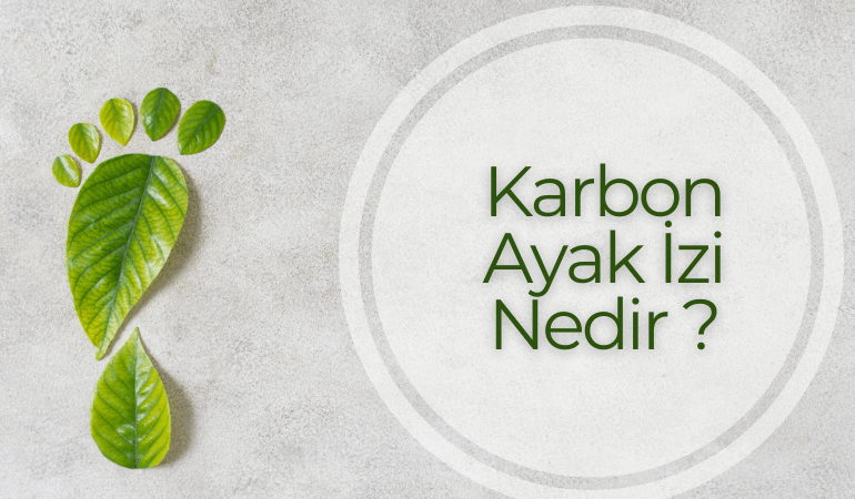 Karbon Ayak İzi Nedir?